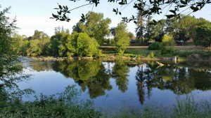 suriver